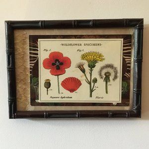 Framed Wildflower Collage Wall Art